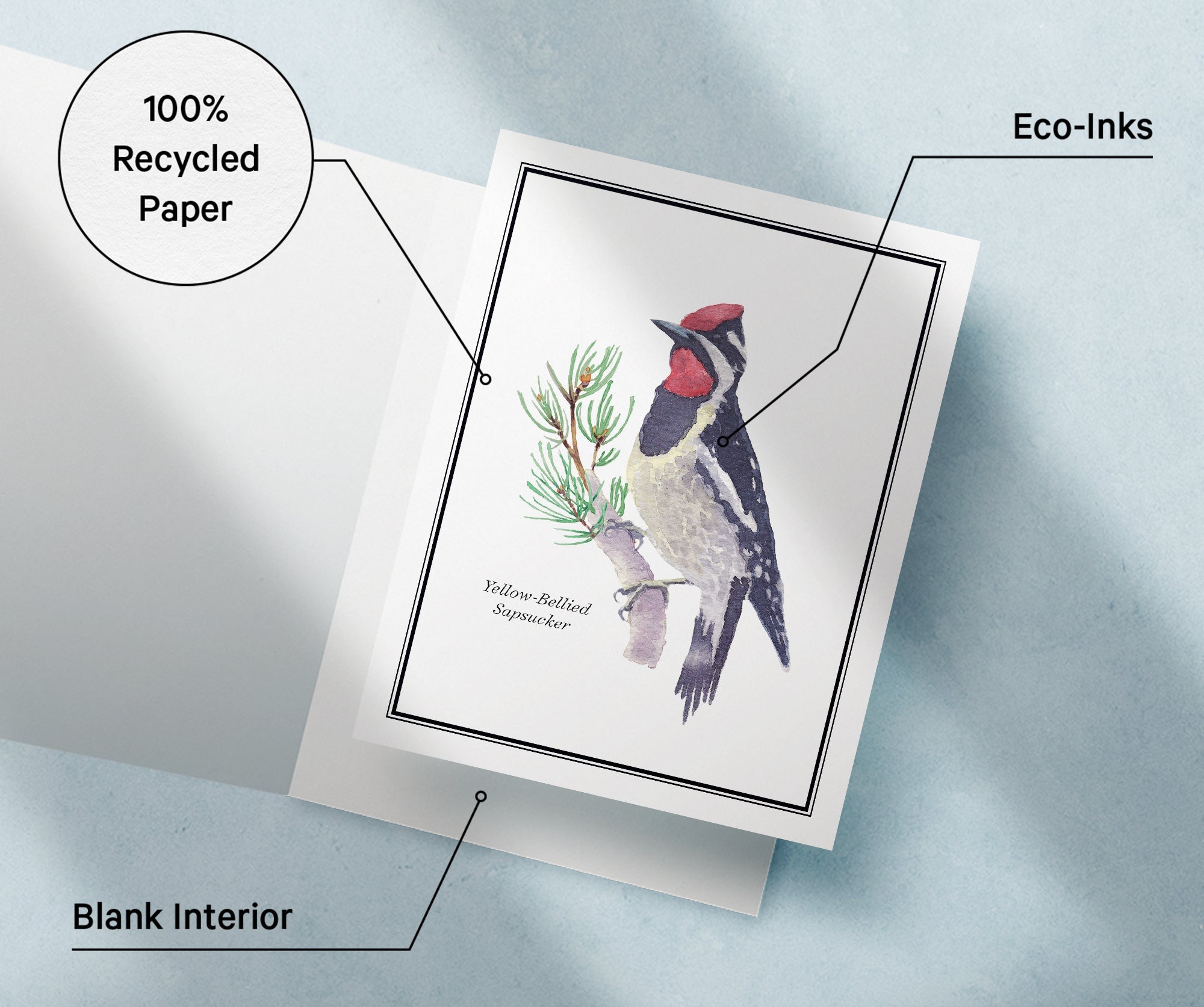 Vintage Birds Watercolor Greeting Cards with Envelopes - Set of 12